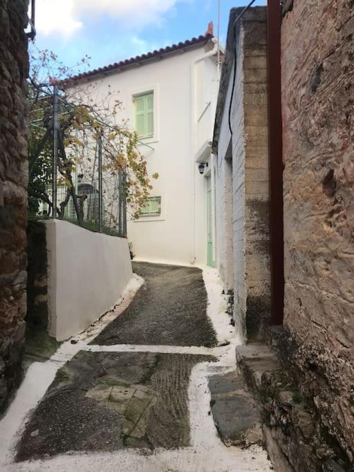 הוילה Kastanitsa Fani'S House מראה חיצוני תמונה
