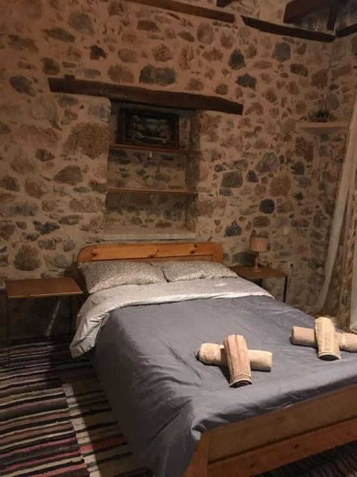 הוילה Kastanitsa Fani'S House מראה חיצוני תמונה